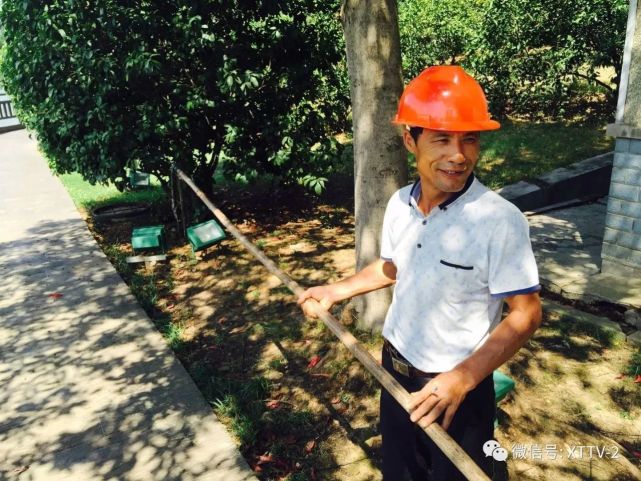 湖湘公园发现眼镜蛇!或因水土不服死亡