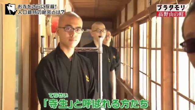 企鹅娘吐槽：你最想要哪个动漫角色的抱枕呢？