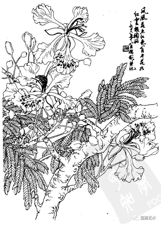 梅花,芍药