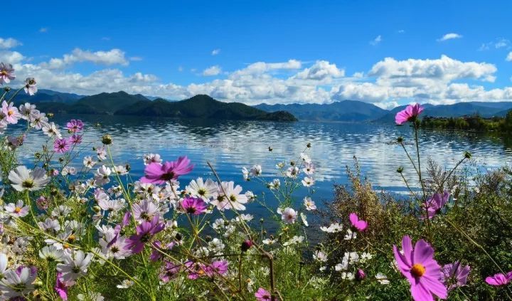 泸沽湖的水性杨花已开 你什么时候来?