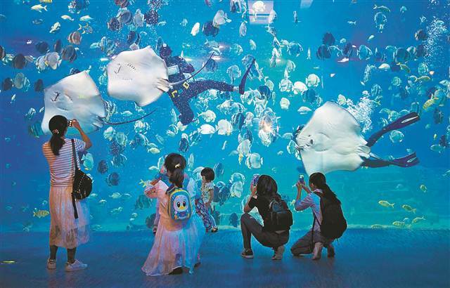 重庆城到底魔幻不魔幻 听听外地游客怎么说