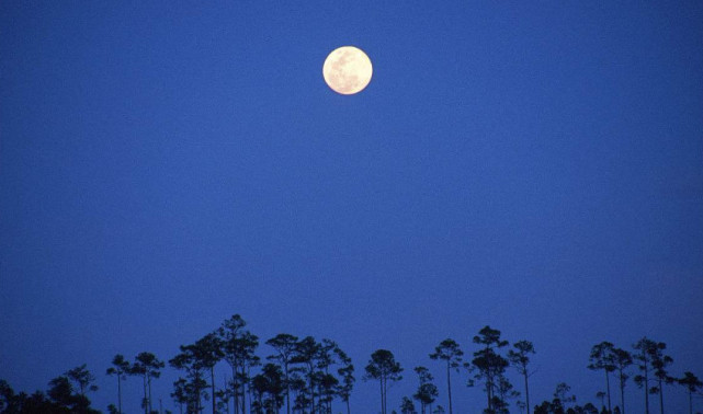 如何假装过了中秋节?
