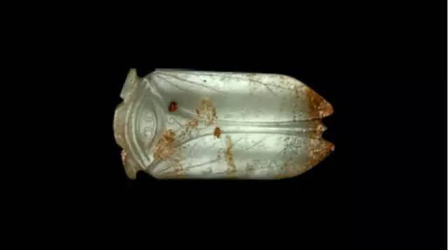 天津博物馆汉代玉蝉