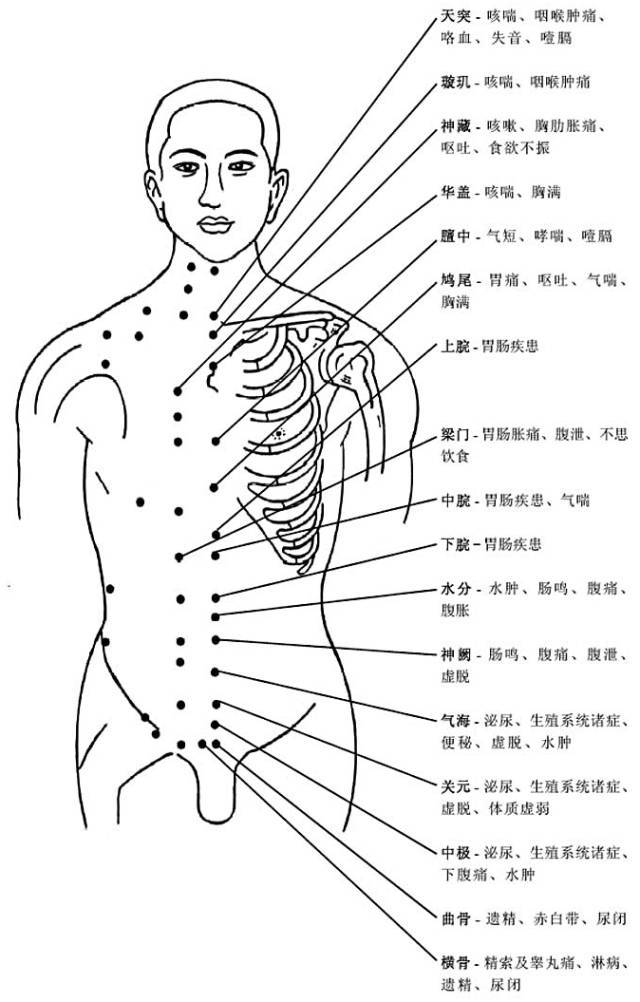 口诀为"三里内关穴,胸腹中妙决;曲池与合谷,头面病可彻;腰背痛相连
