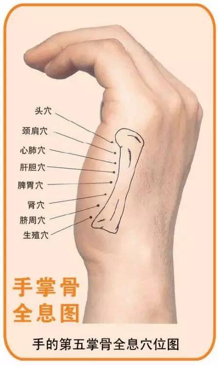 口诀为"三里内关穴,胸腹中妙决;曲池与合谷,头面病可彻;腰背痛相连