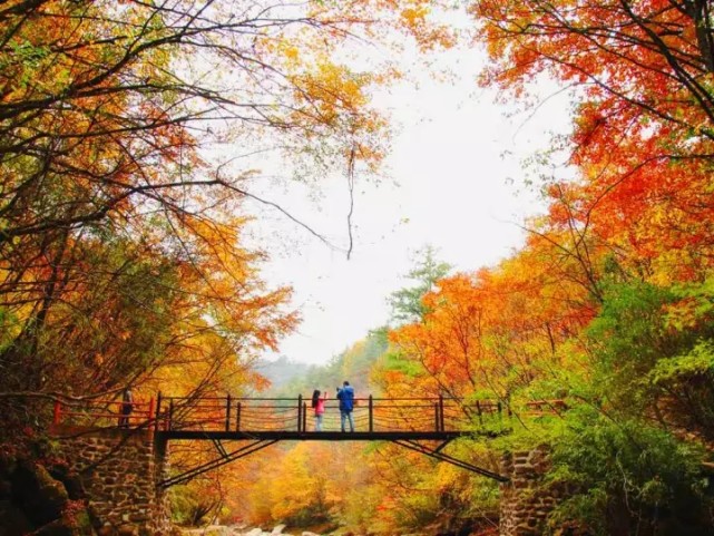 2017陕西金秋惠享季启幕 活动优惠福利抢先看