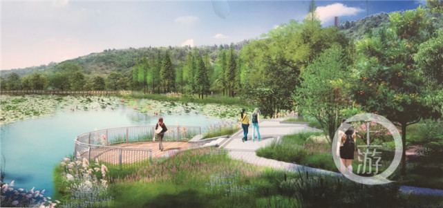 照母山森林公园升级改造 新增球场、沿湖健身