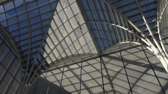 教授获得诺贝尔经济学奖 芝加哥大学开庆祝大