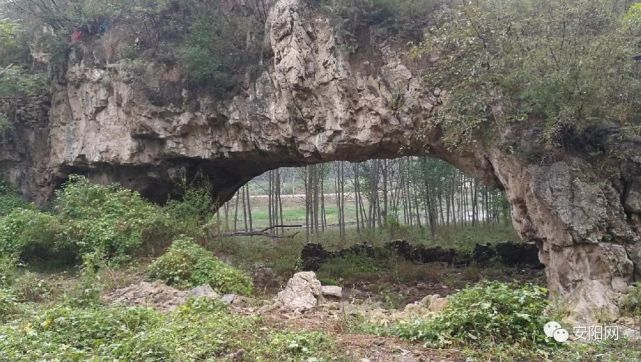 林州发现巨大天生桥 桥龄1500岁跨度内经约25米