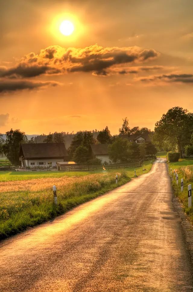 因为天空与道路的对比是最显著:金黄色的夕阳与乡间小路,形成了温暖
