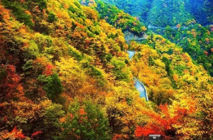 最新!鄂州平均工資又漲了!武漢竟排第3,第一竟是……(图21)