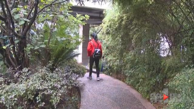 女子十年砸20万寻伴侣 至今仍是单身