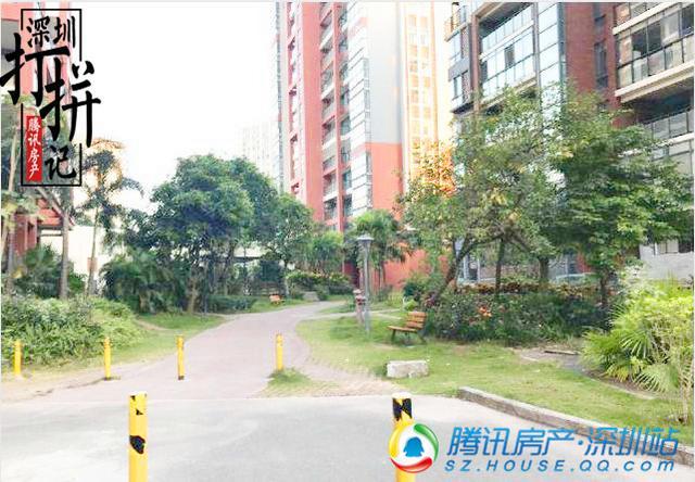 男子40岁到深圳打拼 13年买了7套房