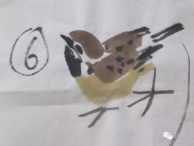 写意国画鸟的画法,一学就会