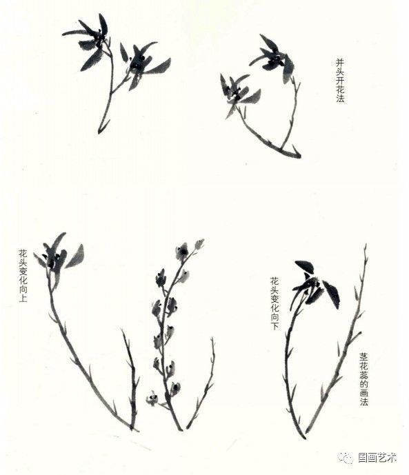 全放花五笔组成,画茎,初放,将放,蓓蕾及各种姿态的画法.