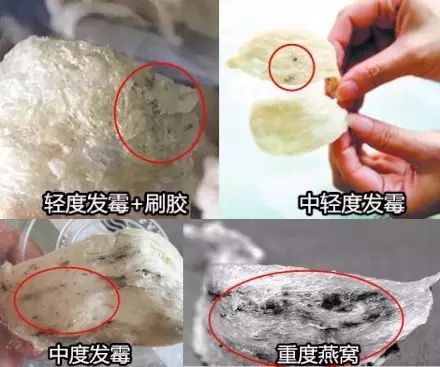 燕窝发黄了,有霉味,还能吃吗?