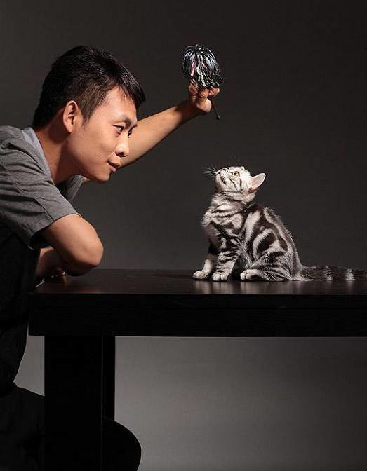 传送门在这里: 至今,张译救助的流浪猫无数 但据说是演艺圈里最多的!