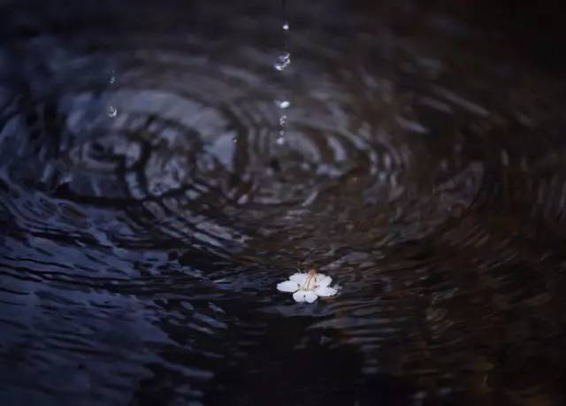 雷雨增多;拍出雨中静美和诗意——6个技巧