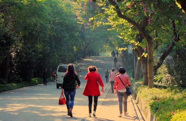 湘潭20日起最高气温将升至20℃以上 连晴一周