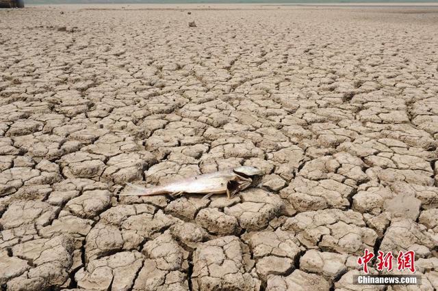 全国12省区遭严重干旱 水库干涸局地断水3个月(图)