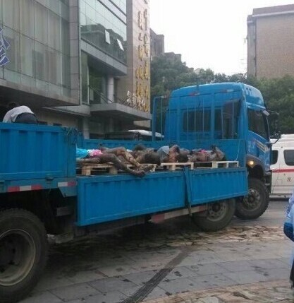 江苏昆山一工厂今晨发生爆炸