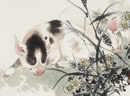 生肖猪