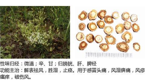另外,这次特意给每一种中药都附上了别名,便于大家平时灵活运用.