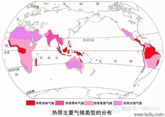 关于热带雨林