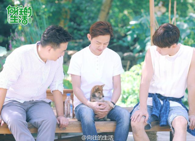 《向往的生活第二季》将开录,黄磊之前曝出的