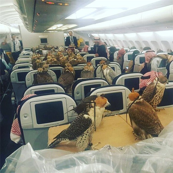 卡塔尔航空空乘待遇_阿里巴巴员工待遇福利_卡塔尔福利待遇