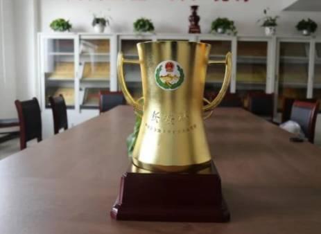 恭喜!焦作再获三个全国大奖 快来看看都是啥