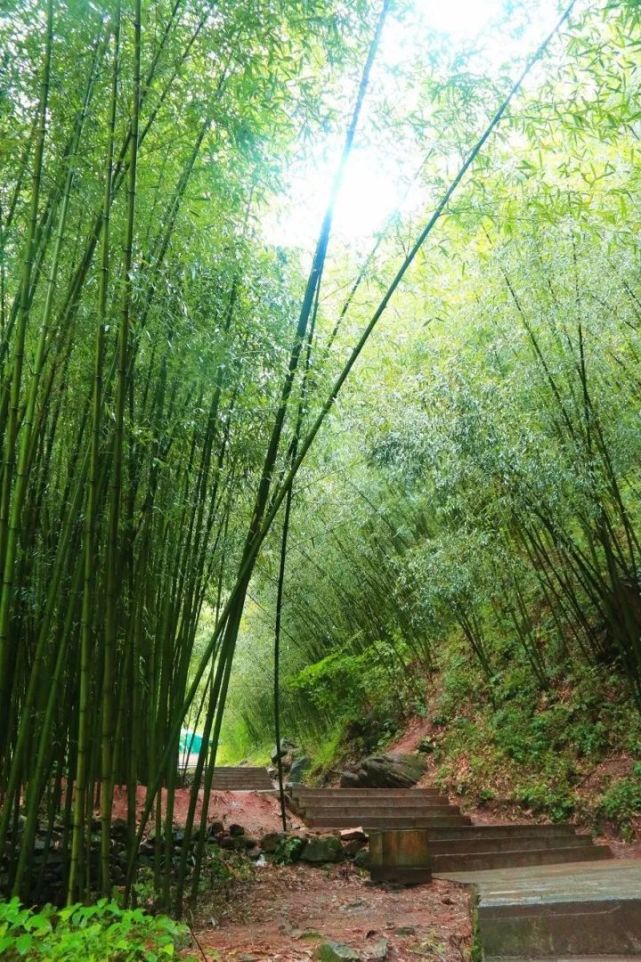 要火！洛阳这三个景点跻身全国一线行列