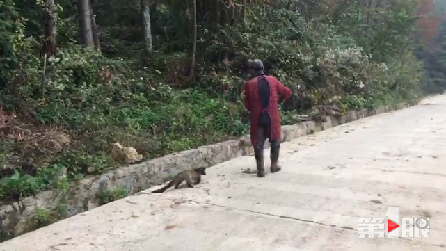 一个匿名举报 救了这只国家保护动物