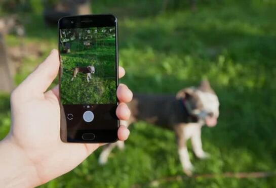 外媒给最好的大屏手机排了个名:有旗舰也有千