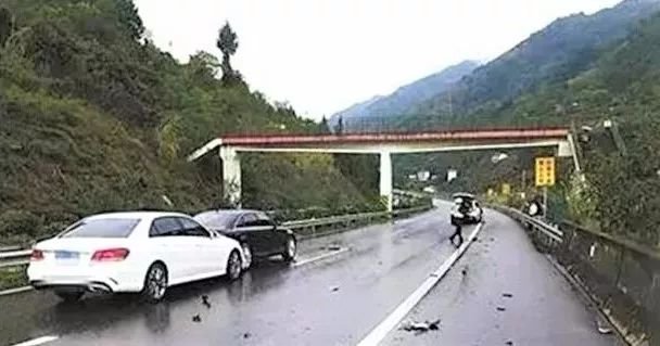 湖南一驾驶员撞上流浪狗 带狗行驶8公里