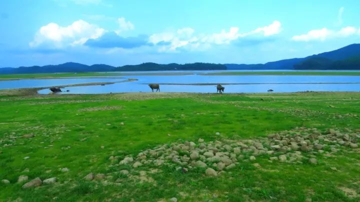 湿地公园,孔雀湖,大沙河