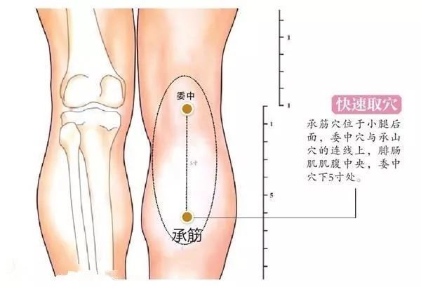 肝主筋,地筋隐于足,揉地筋必有神奇功效