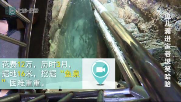 重庆农户家神秘鱼泉 每年带30万收入