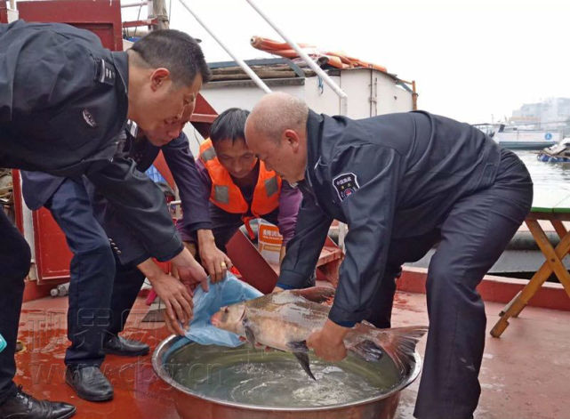 渔民长江中捞起怪鱼 一看竟是“亚洲美人鱼”