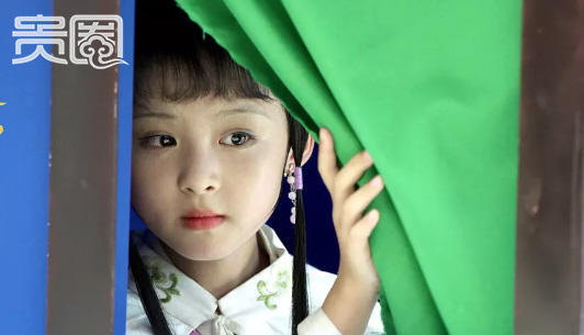 【贵圈】独家调查：红楼小戏骨养成记