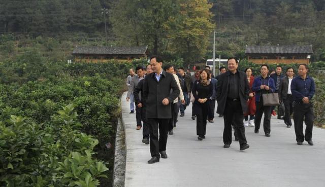 颜长文调研菖蒲塘村:全力建设乡村振兴示范村