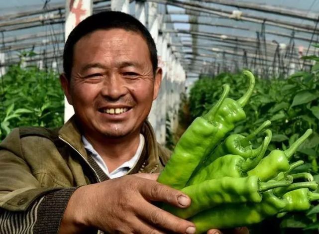 滑县一乡镇因这件事做得好 被新华网点名