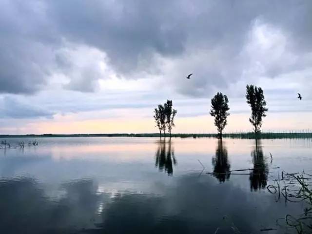 湿地,在2013年列入国际重要湿地 又称为"蔡甸区沉湖湿地自然保护区"