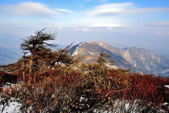 陕西宁陕境内的秦岭东梁系秦岭山脉中段主脊,为长江黄河分水岭.