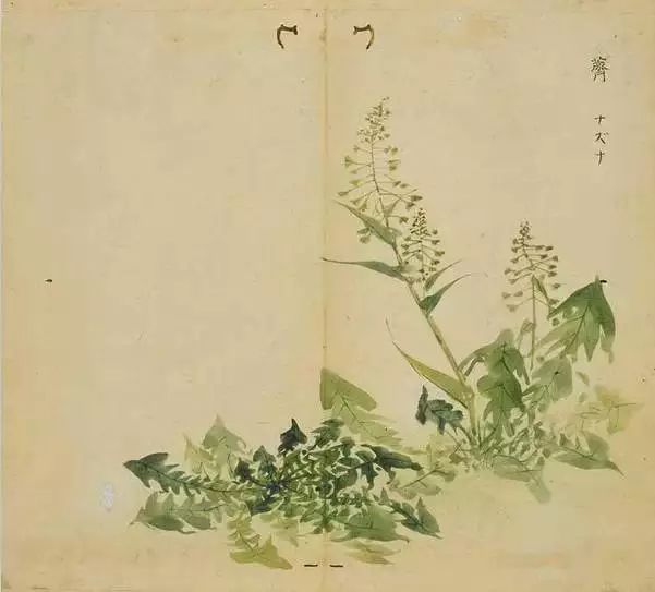 唱山歌挖野菜,鸟语花香谈恋爱