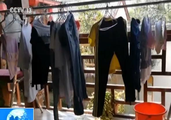 客栈蚊子是宠物 熏死1只赔100