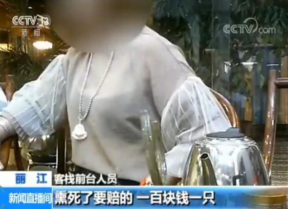 客栈蚊子是宠物 熏死1只赔100