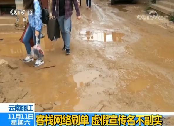 客栈蚊子是宠物 熏死1只赔100