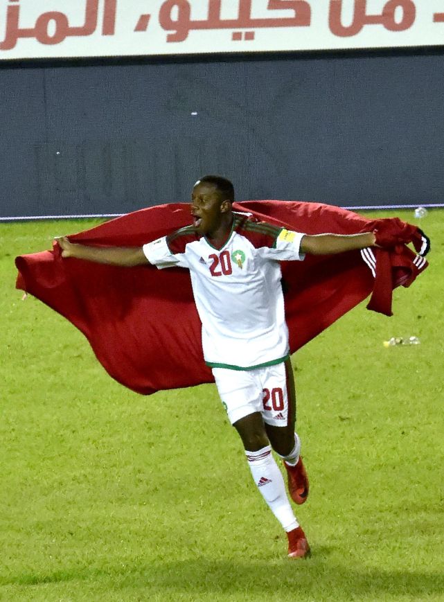 狂野非洲!4大王牌军世预赛全挂!北非狮扛旗?_