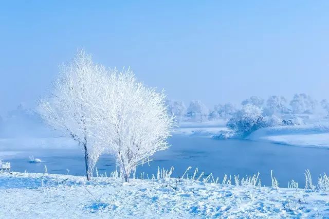 冬天十分美,东北雪景最无敌!纯洁的铺天盖地!